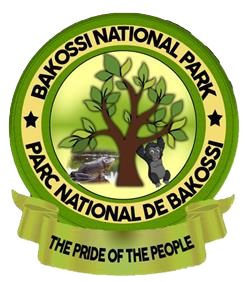 bakossinationalpark.org